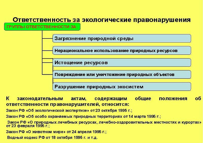 Презентация на тему юридическая ответственность за экологические правонарушения